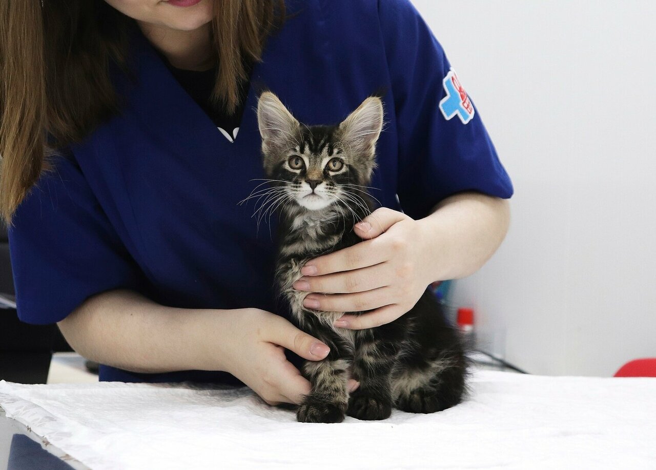 clinic general image