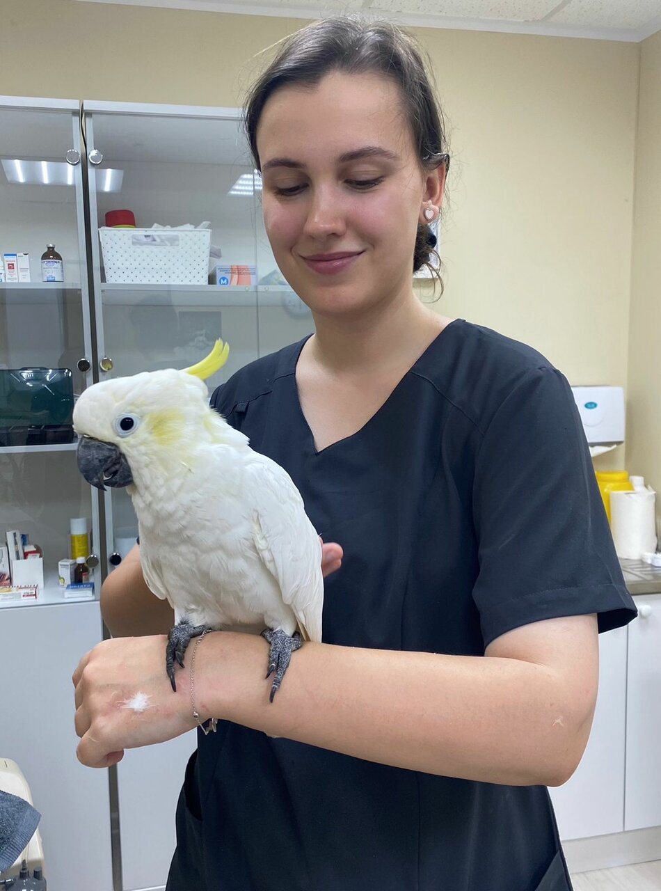 more clinic photos 34572