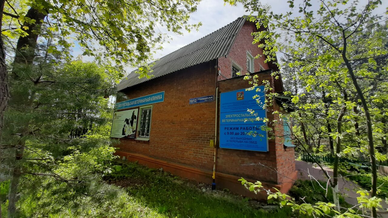 Тву № 5, ветеринарная станция по Богородскому Г. О. и Г. О. Электросталь