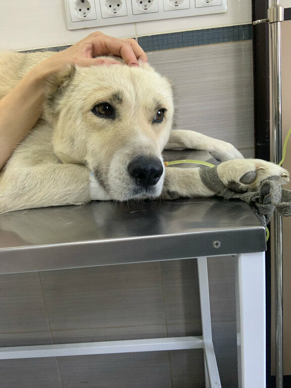 more clinic photos 225