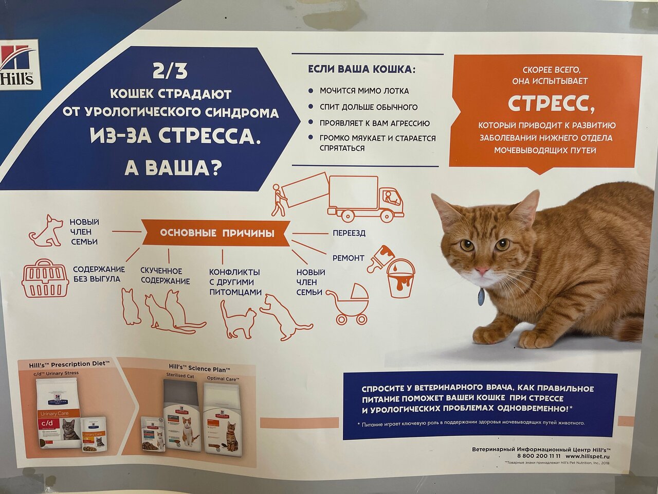 Ветеринарный кабинет