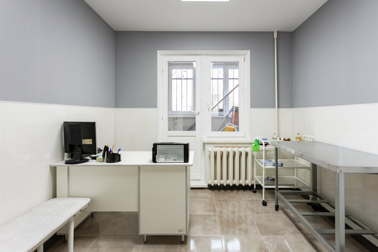 Фото клиники Котофей