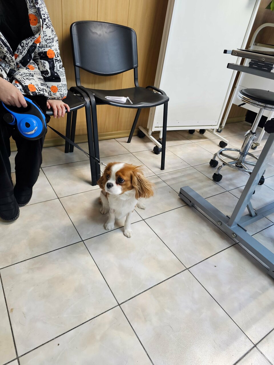 more clinic photos 28683