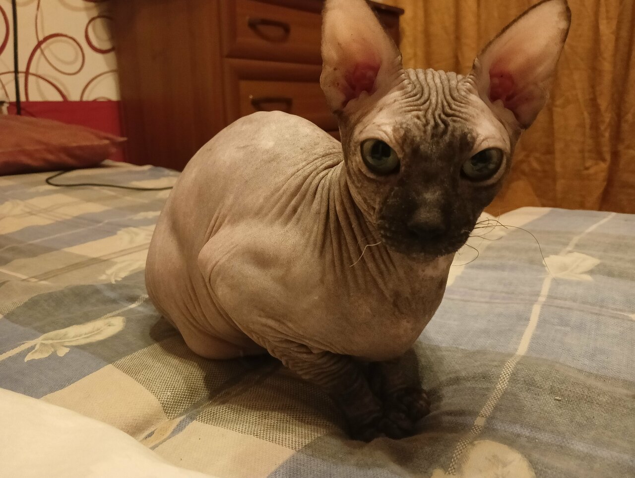 clinic general image