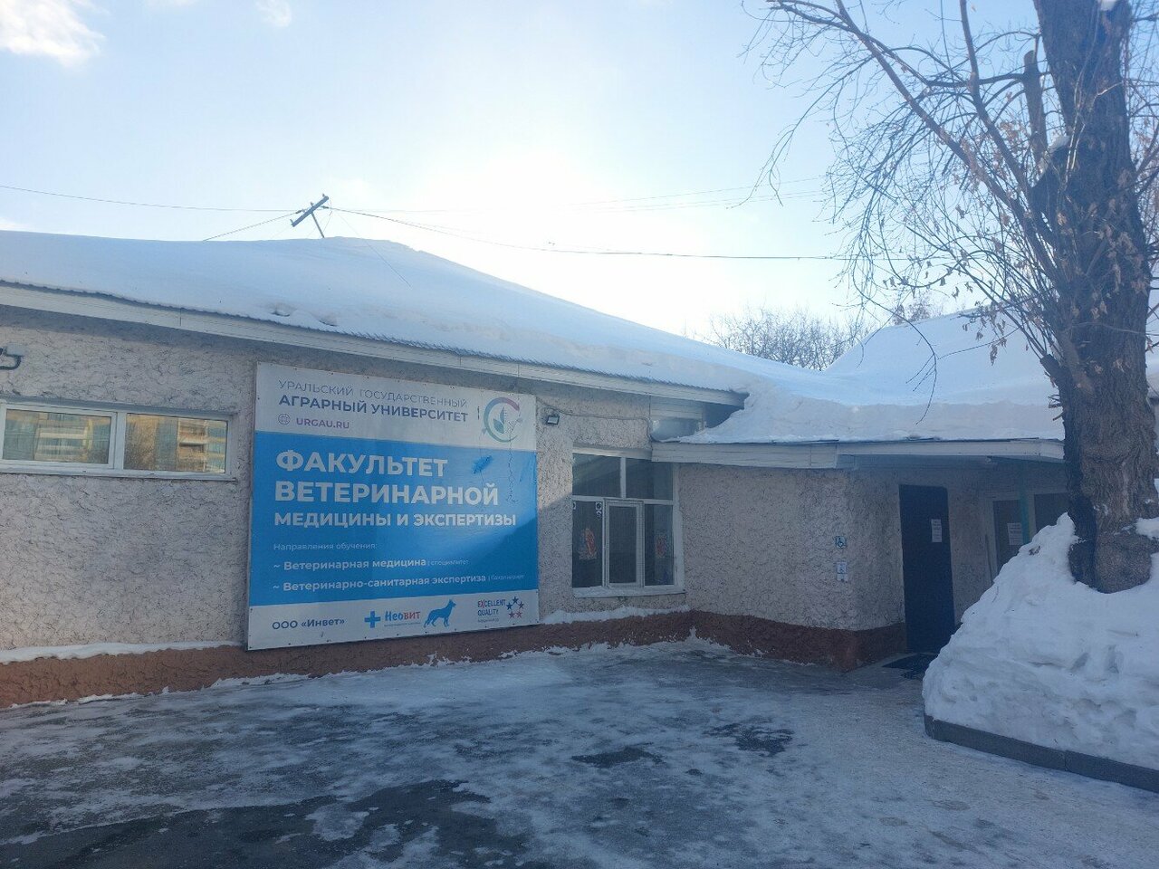 Фото клиники 26294