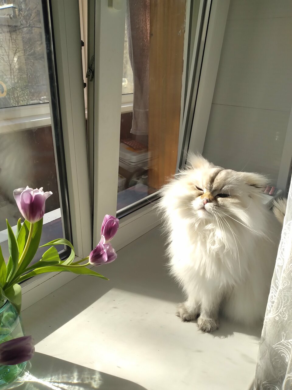 Фото клиники 55535