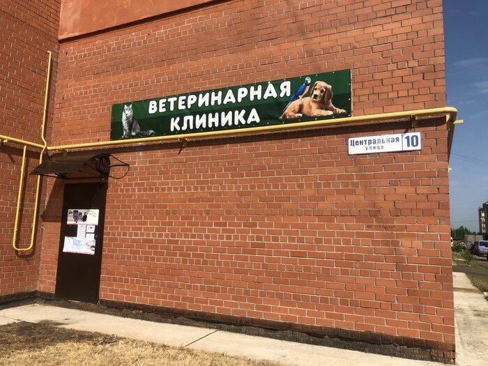 Фото клиники 45299