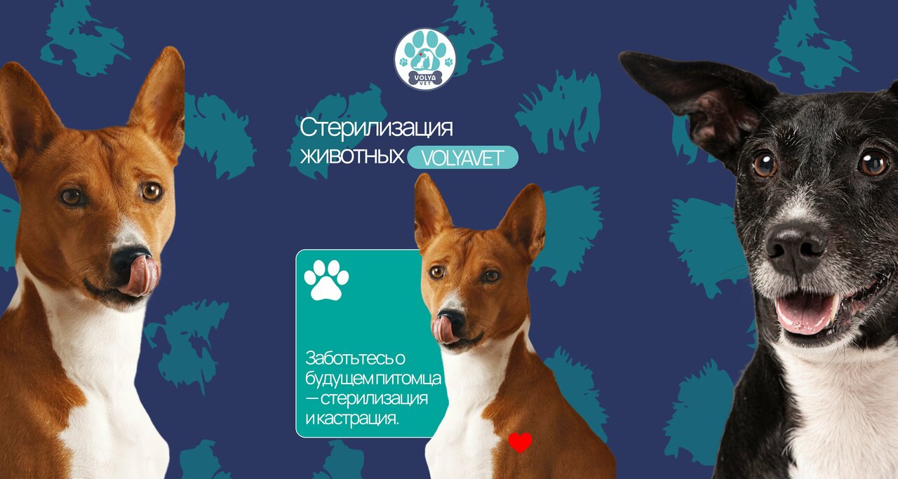 clinic general image