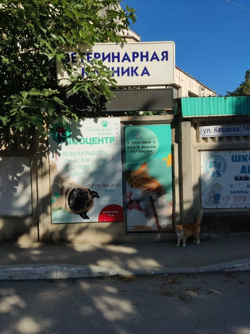Фото клиники 49669