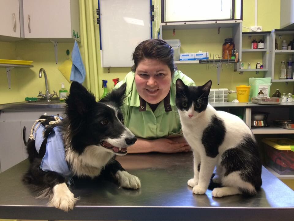 Зелёный дракон