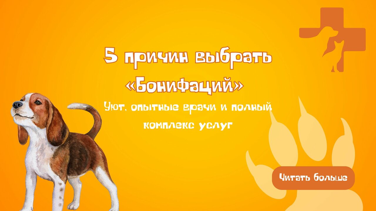 Фото клиники 11356