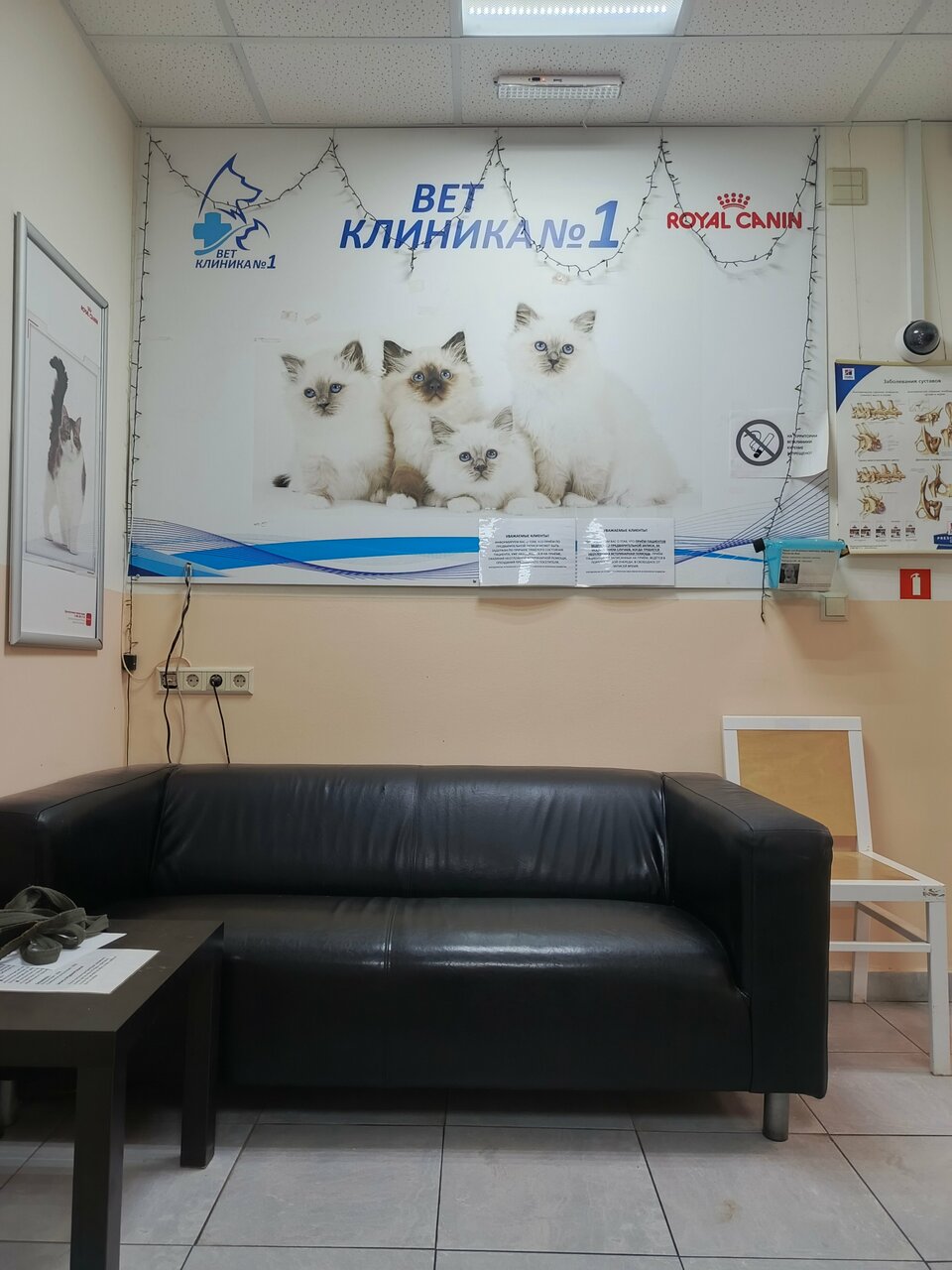 more clinic photos 6466