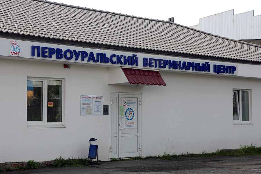 Первоуральский ветеринарный центр Вет+