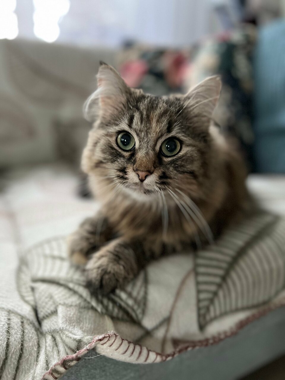 more clinic photos 58968