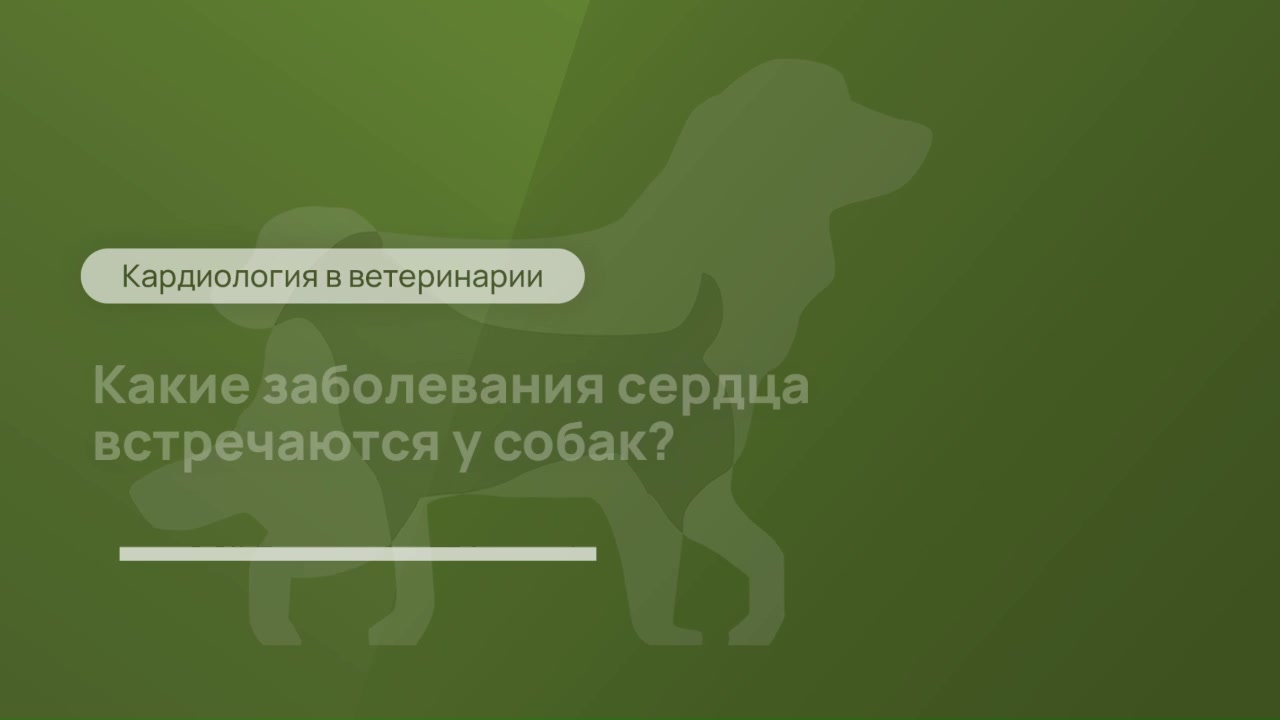 Главное фото клиники