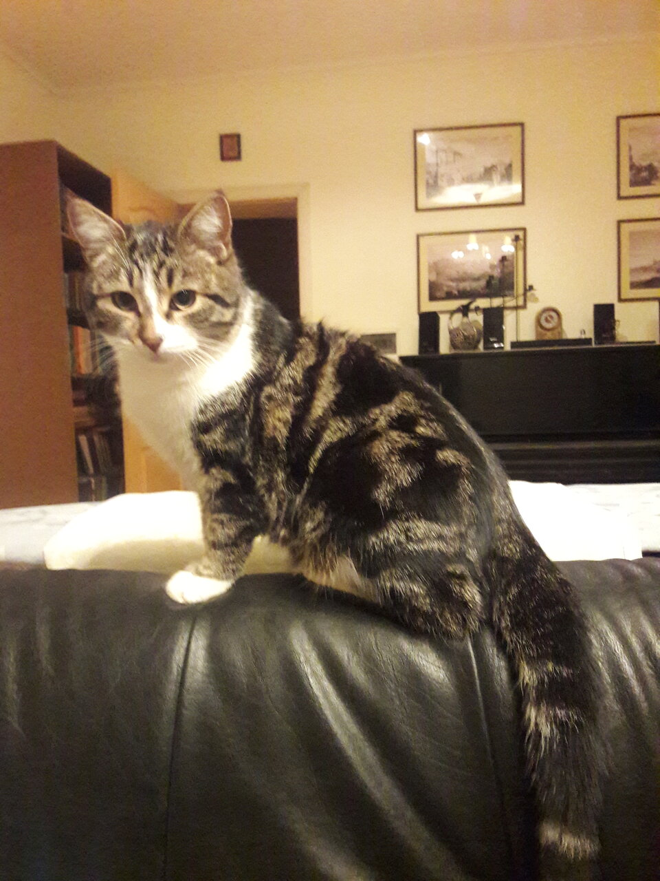 more clinic photos 29116