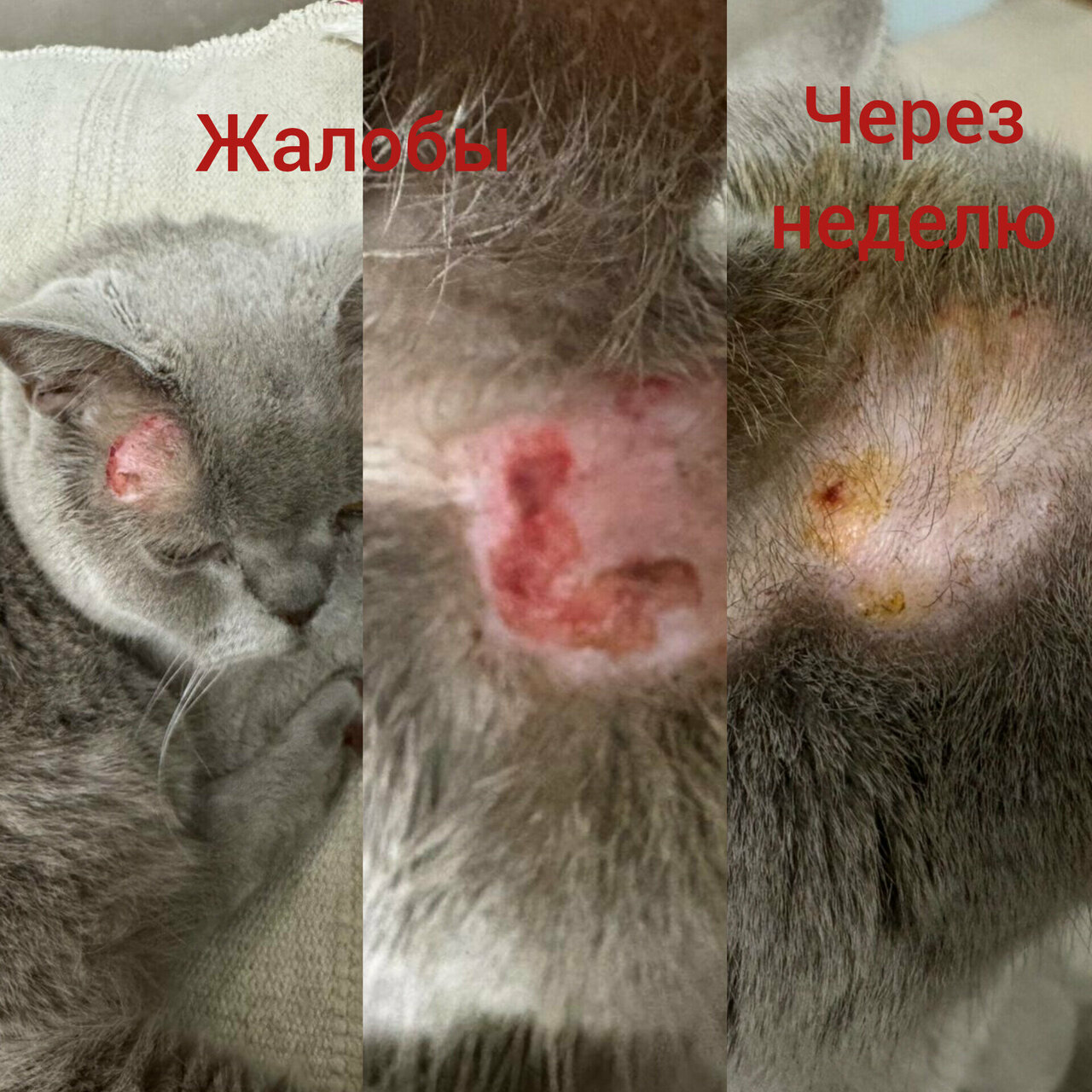 Главное фото клиники