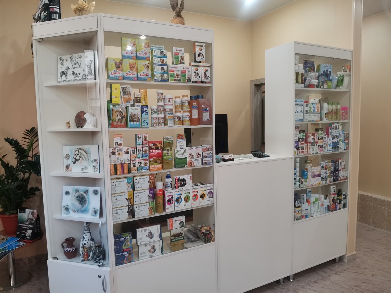 more clinic photos 9560