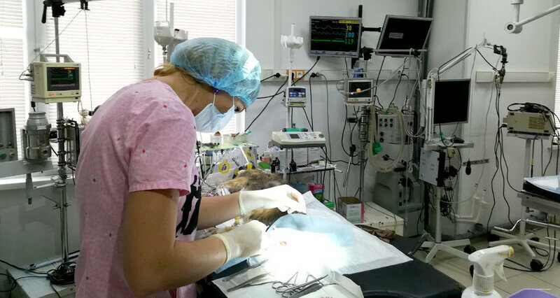 more clinic photos 8274