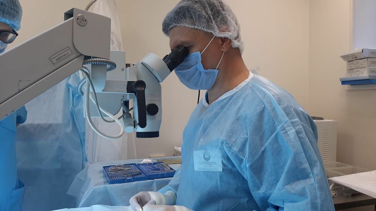 Центр здоровья животных