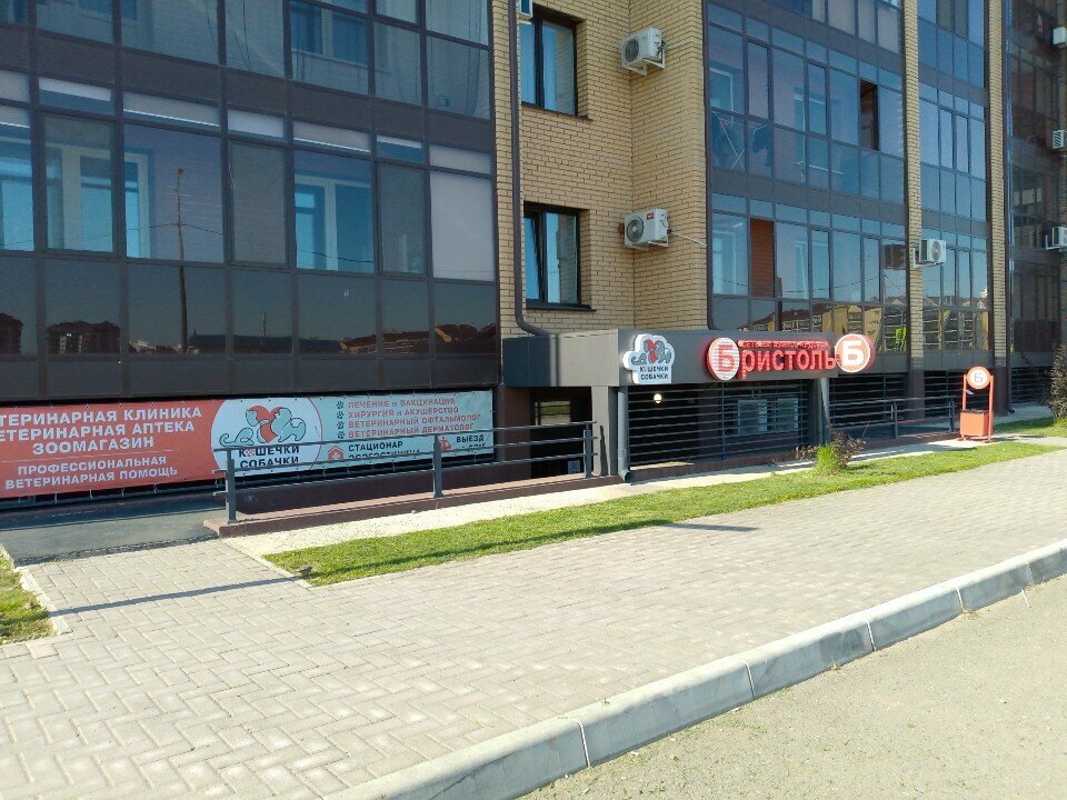 Кошечки Собачки