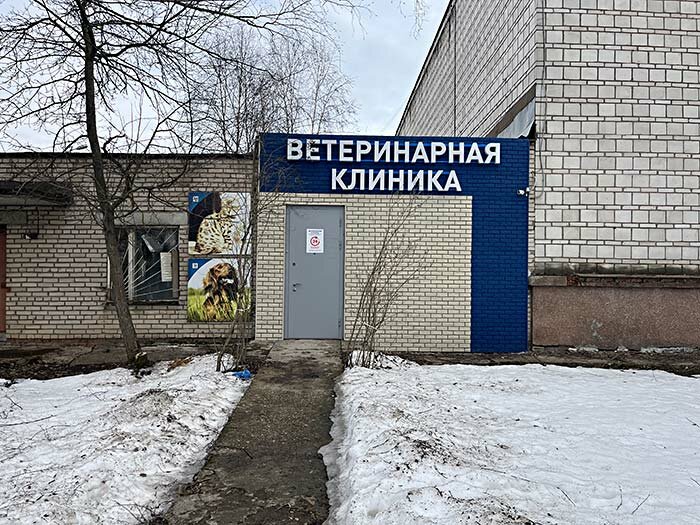 Фото клиники УшиХвост