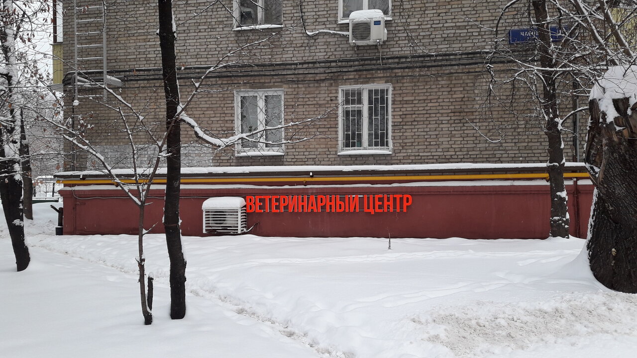 Фото «Апогей»