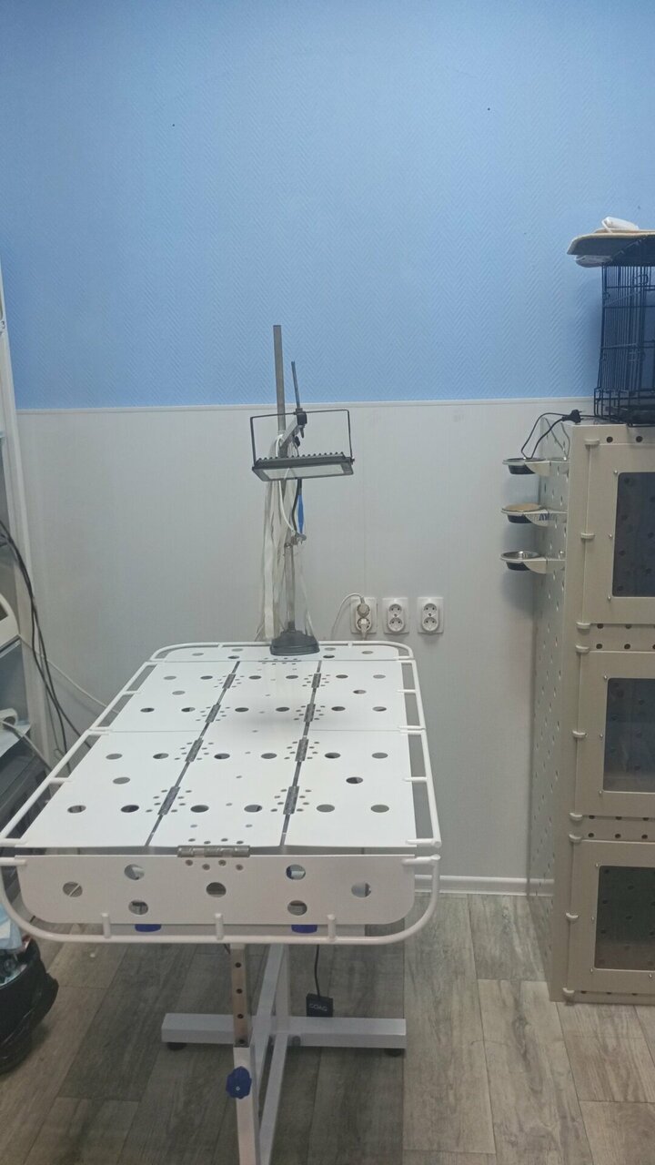 more clinic photos 260