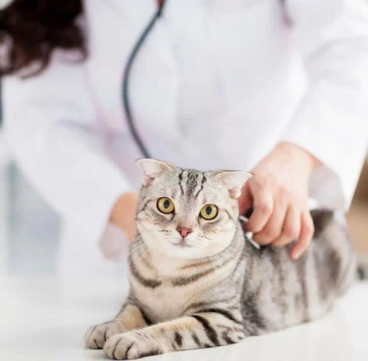 clinic general image