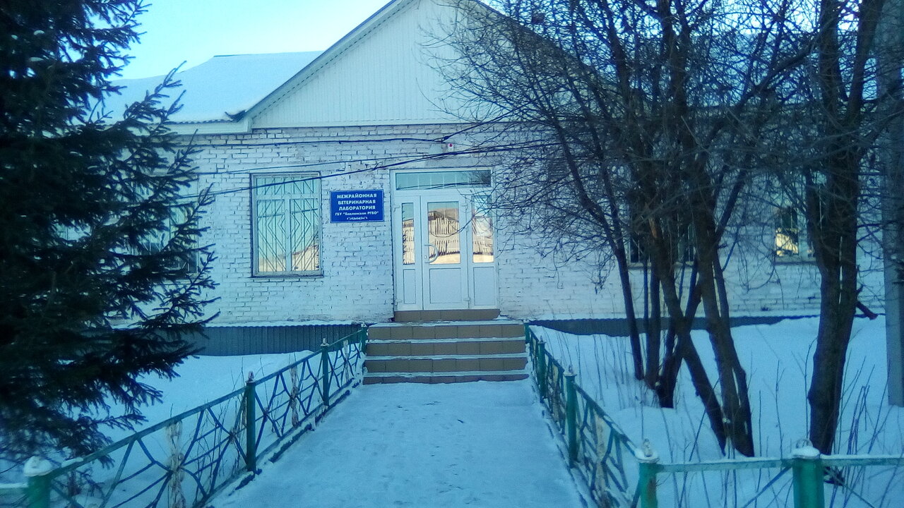 Ветклиника