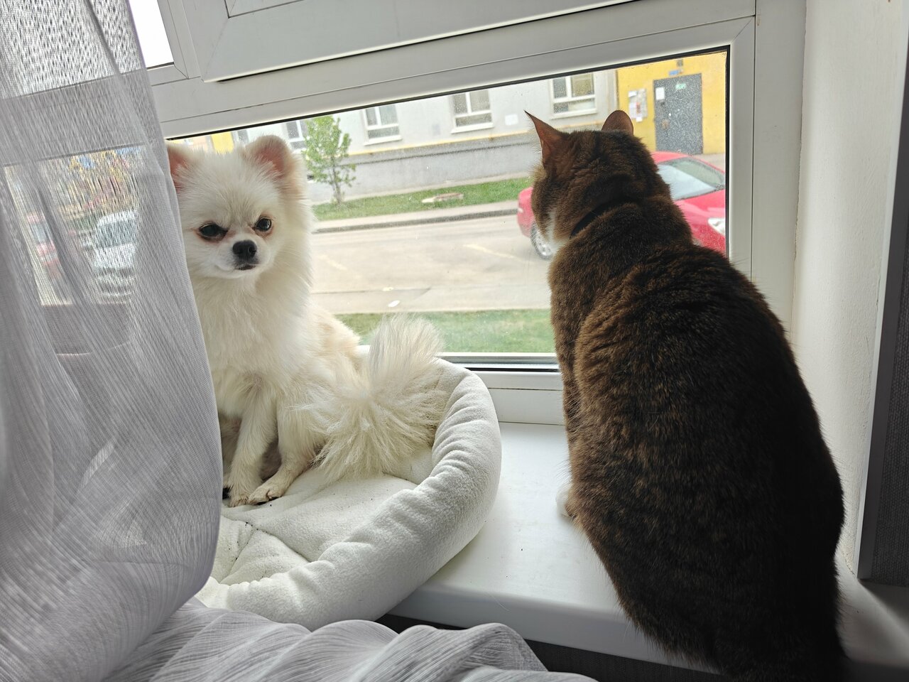 clinic general image