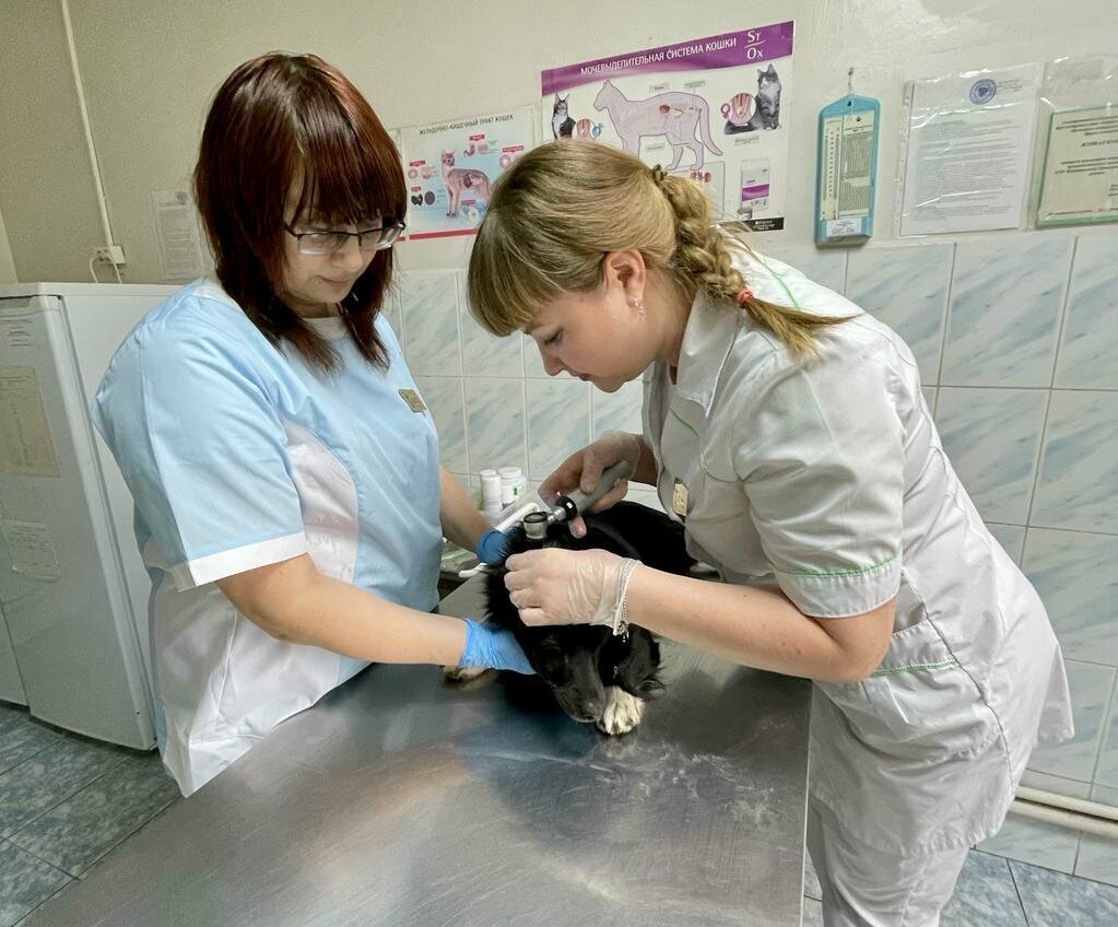 ГБУ Ветуправление Приморско-Ахтарского района