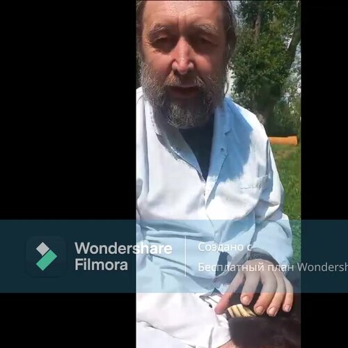 Ноев ковчег