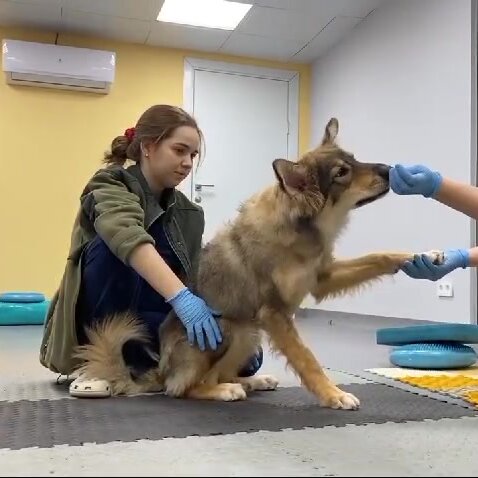 clinic general image