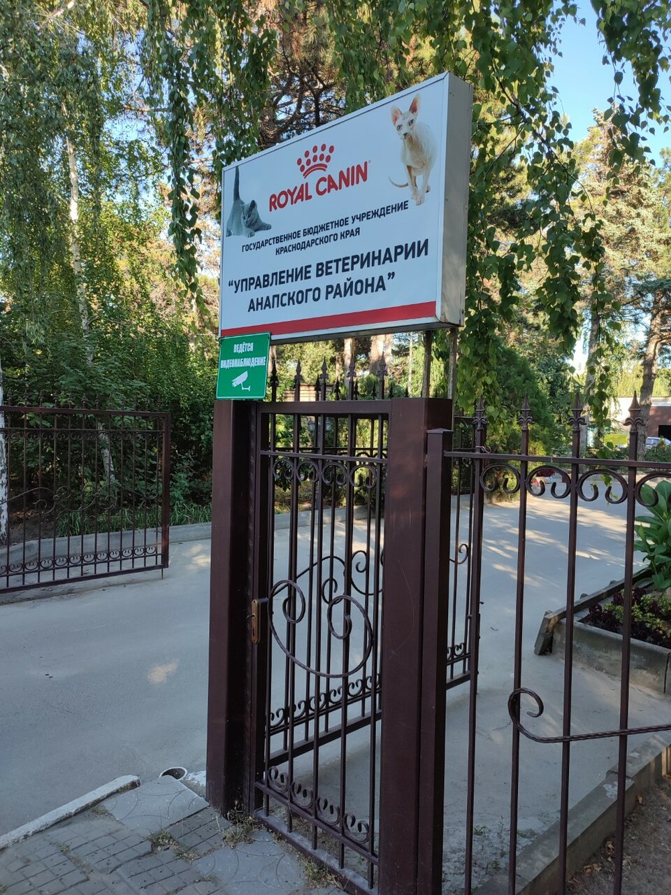 Фото клиники 58190