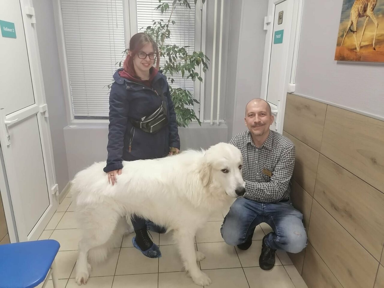 clinic general image