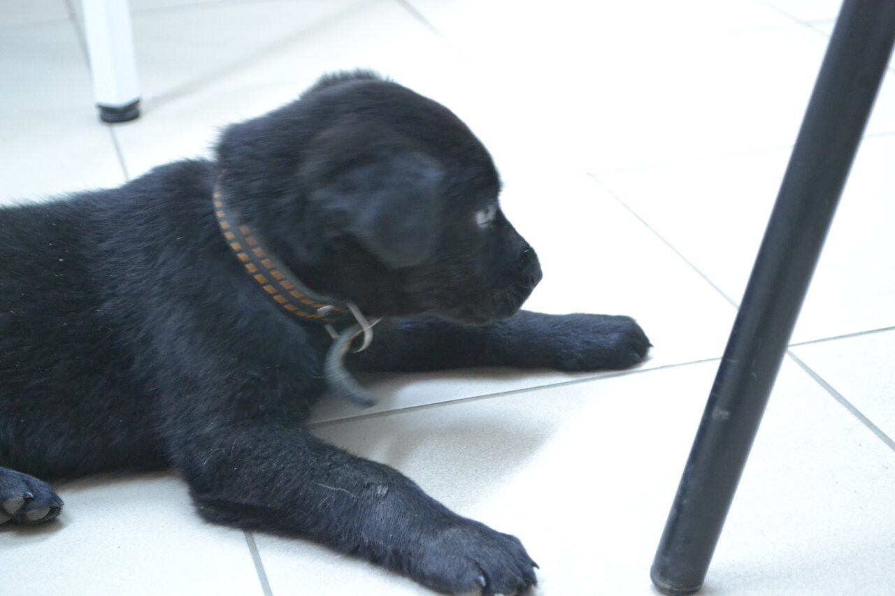 more clinic photos 25310