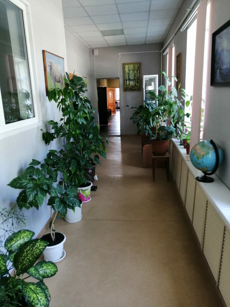 Фото клиники 41582