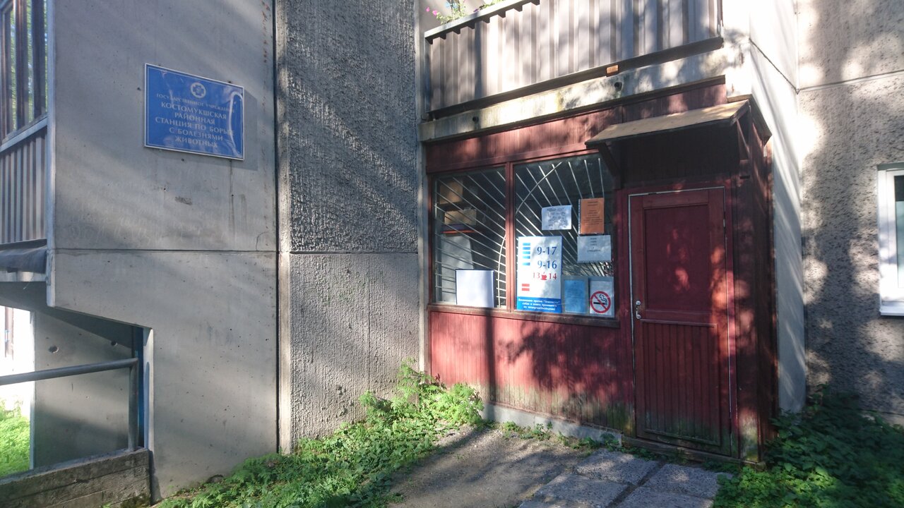 Костомукшская Районная Станция по Борьбе с Болезнями Животных, ГБУ РК