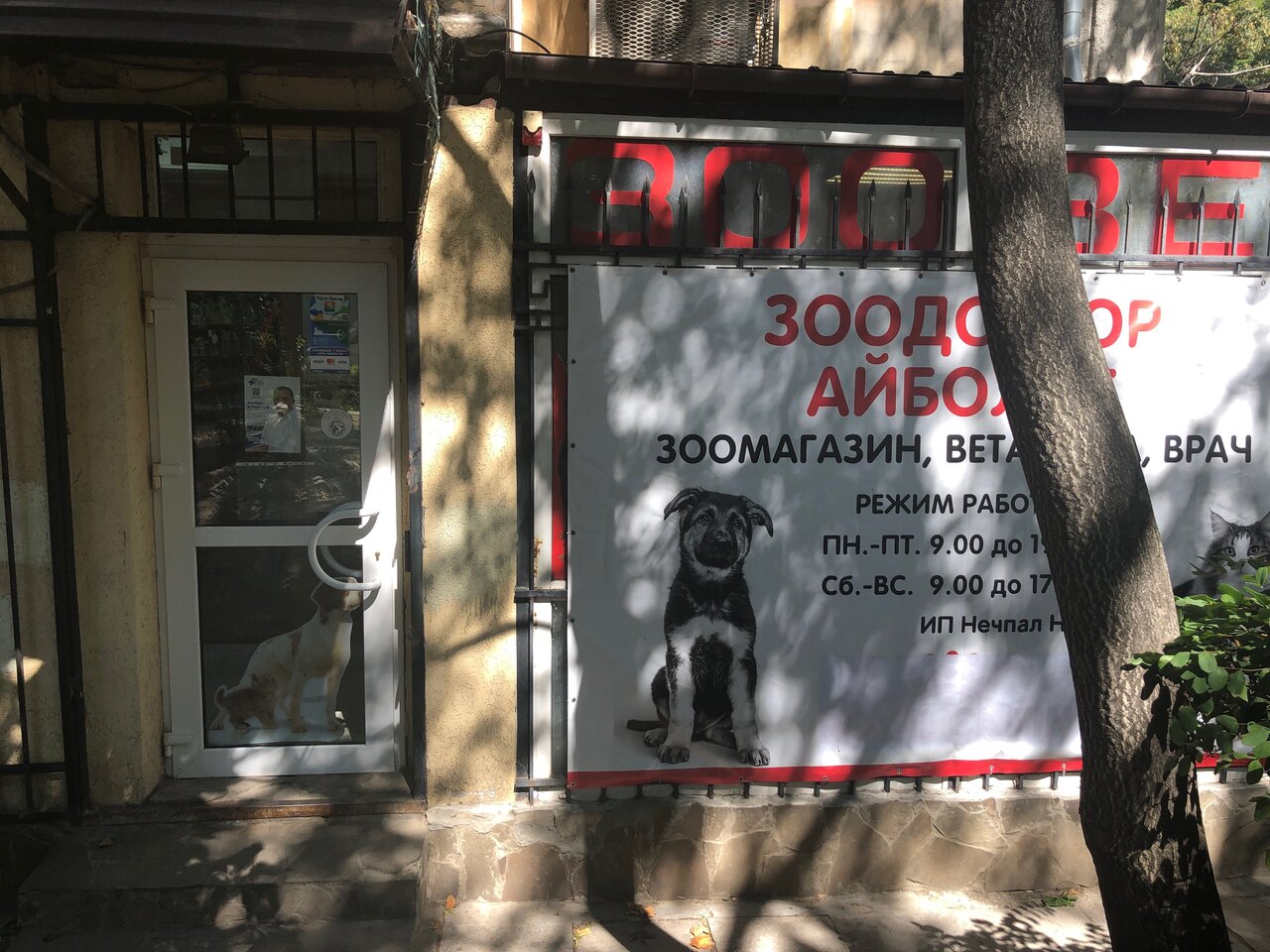 Фото клиники 37253