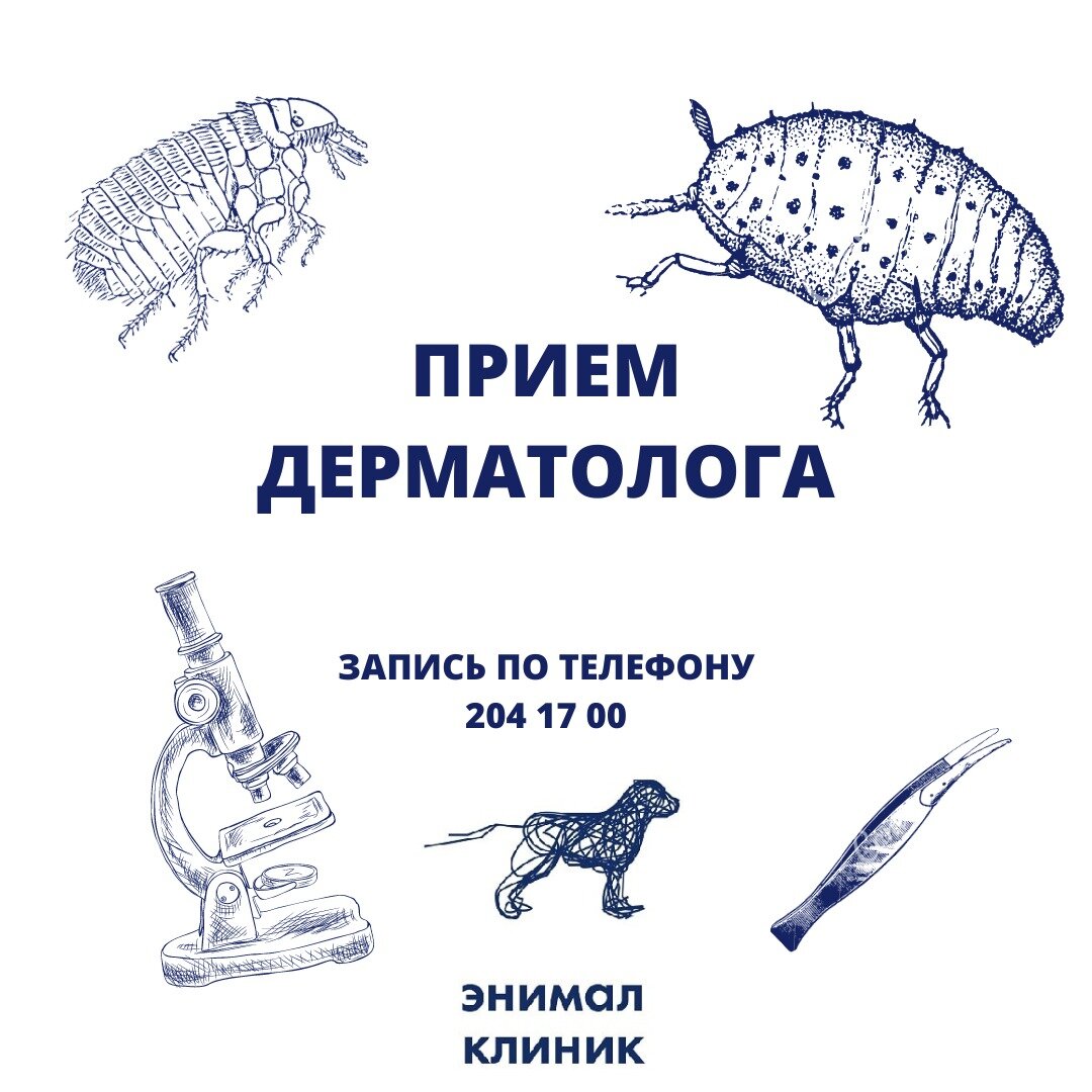 clinic general image