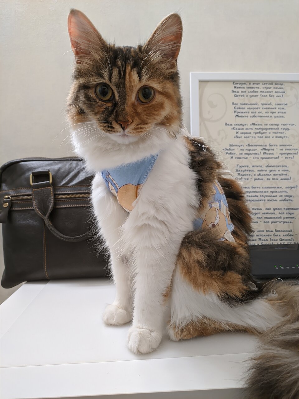 Фото клиники 43165