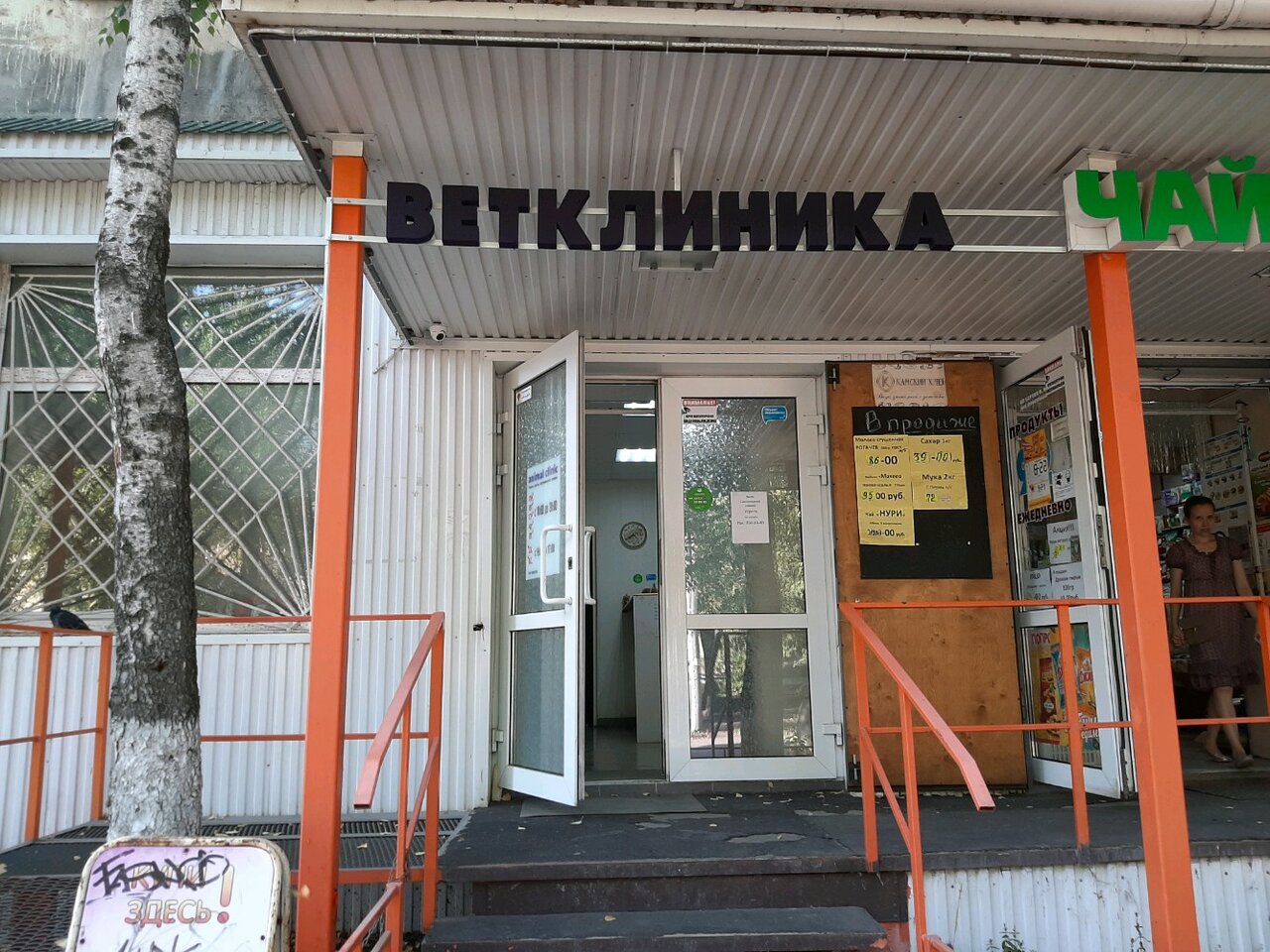 Фото «Animal Clinic»