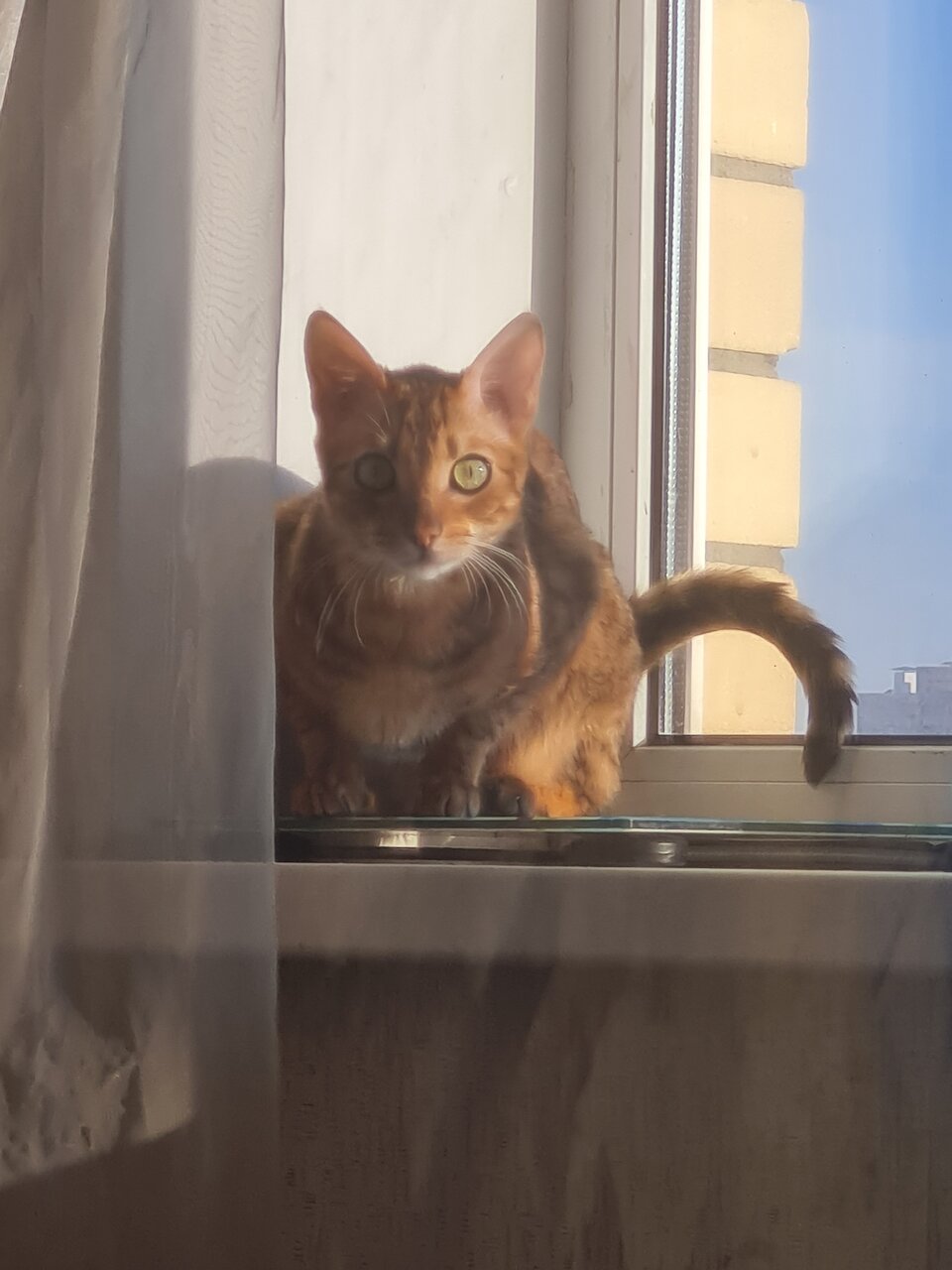 Фото клиники 748
