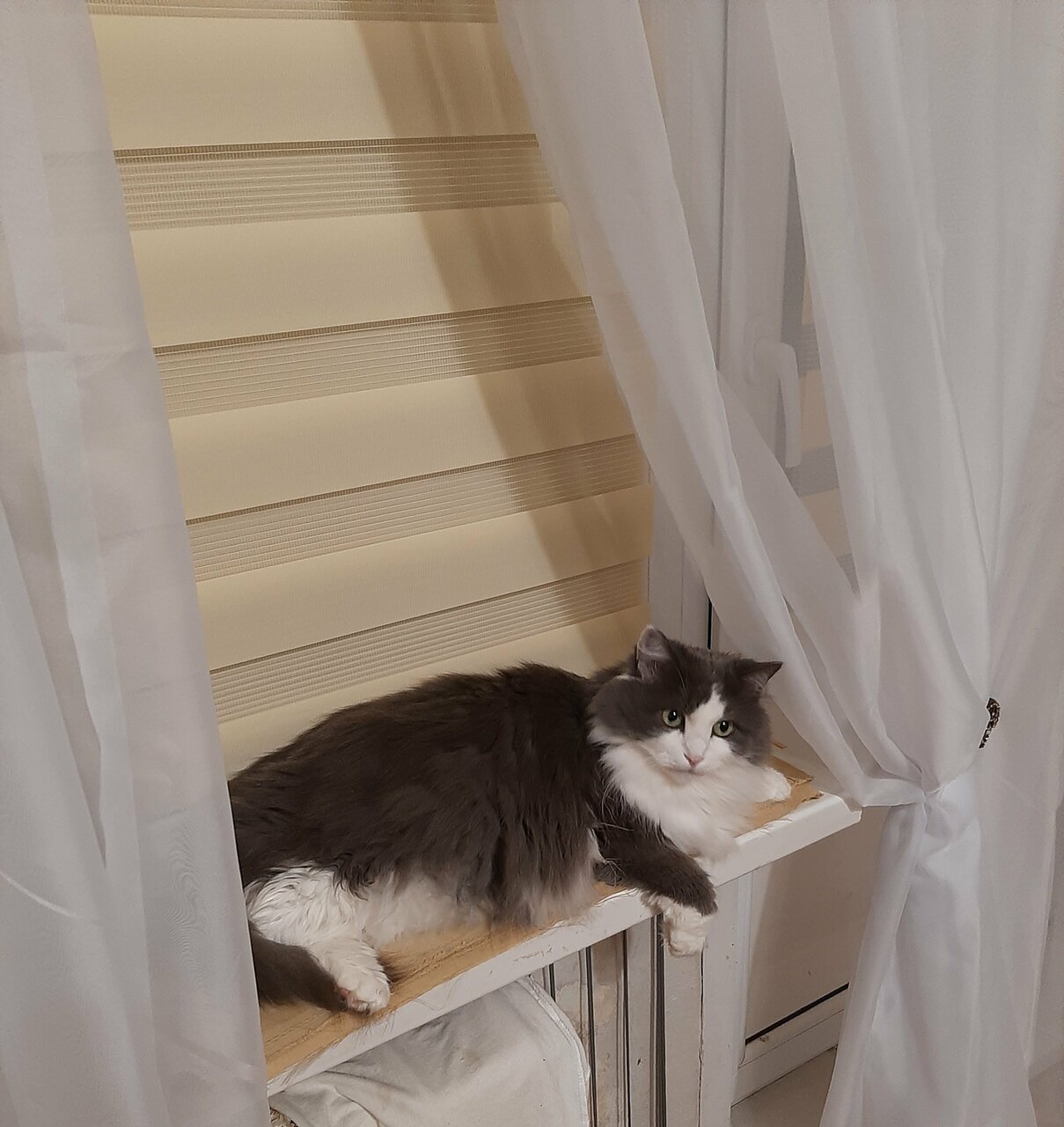 more clinic photos 50293