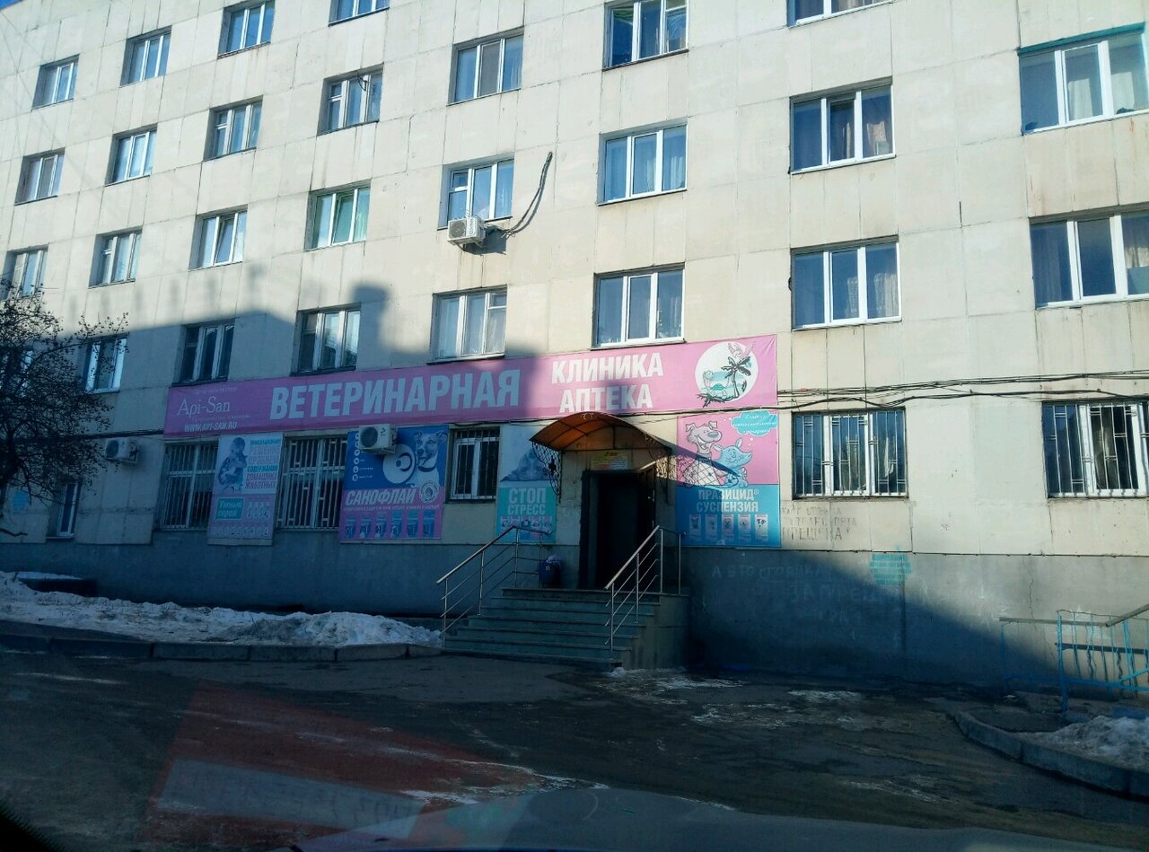 Фото «Айболит»