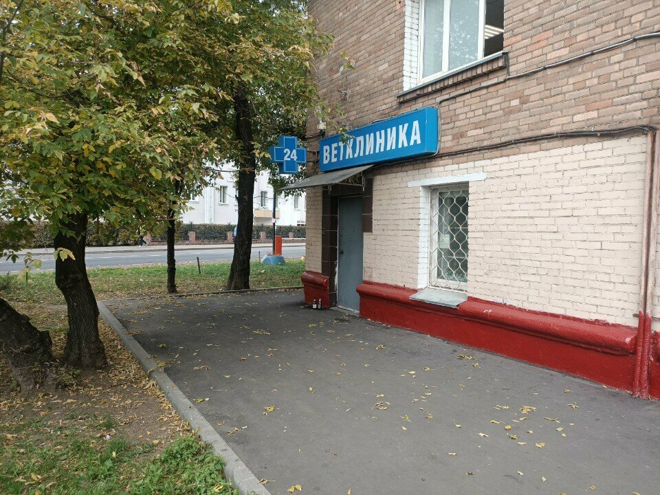 Фото клиники 60509