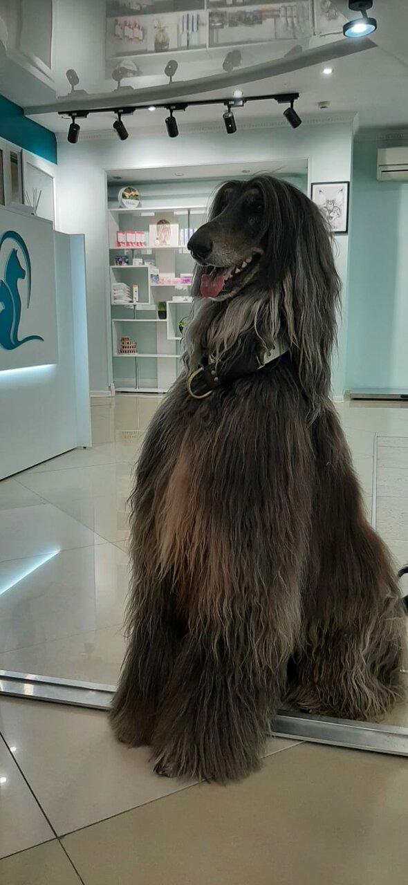 more clinic photos 74495