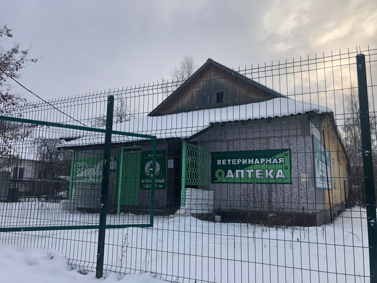 Фото «Младший брат»