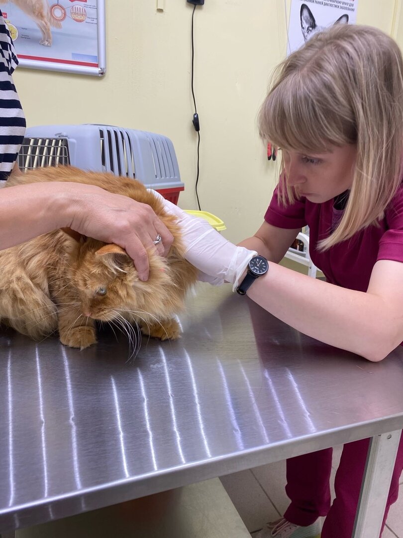 more clinic photos 84980